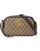 40FBA068-675A-98FF-05B9-E686088F65D3.jpg Gucci Marmont Canvas Camera 24x13cm