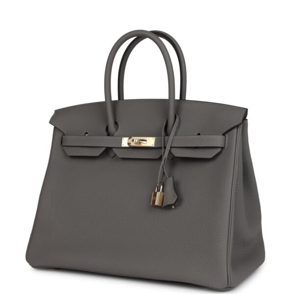 Birkin 30 Handbag Grey Togo with Gold Hardware