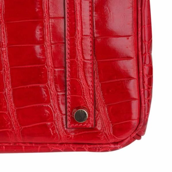 4278F03F-CCB5-1C7B-B86D-22FF76F796B3.jpg Birkin 35 Bag Braise Porosus Crocodile with Gold Hardware