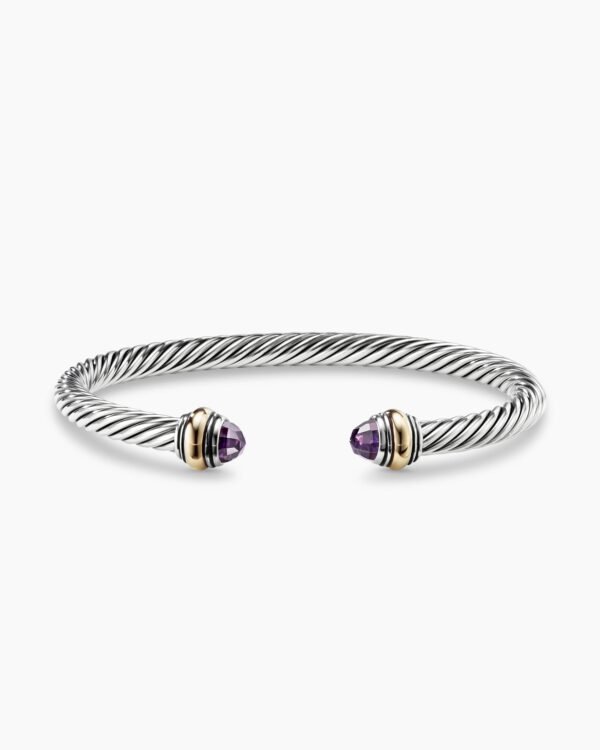 444A8BB9-8CA5-3887-899D-E9BD773D15BA.jpg Classic Cable Bracelet Sterling Silver with 14K Yellow Gold and Amethyst, 5mm