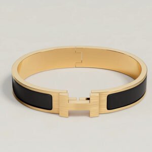 4665FACB-37C7-0368-F0A2-D23112E85F6E.jpg Hermes Clic HH bracelet