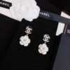 473367F9-7F37-6AE1-EA7A-698F0C2C73E1.jpg cc Earrings