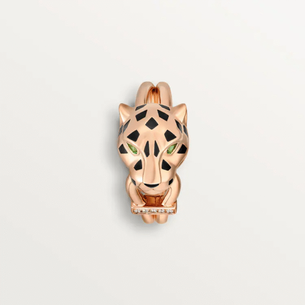 487FDBFA-B1D4-763C-ADA5-191230E1F4AC.png PANTHERE DE RING