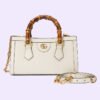 493AD869-CE90-8DFA-0479-51C9834A9AE2_d94b946e-7524-4031-9be3-cb05ddbc40f1.jpg DIANA SMALL SHOULDER BAG