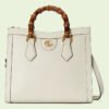 DIANA SMALL TOTE BAG