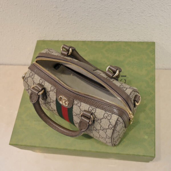 4D9C38E4-0EFC-4B07-8FD4-26410B560D68.jpg Gucci Ophidia GG Mini