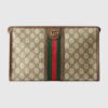 4E4BDF89-E7AB-2CB9-71A1-3D7B509B6D37.jpg OPHIDIA TOILETRY CASE