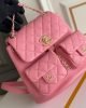 4E87B2DA-8310-0CA7-4E8E-0A7A6C6A141D.jpg Chanel Backpack