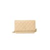 50A779D9-1135-3CBE-40B2-ECF0C7B91F22.jpg Chanel classic chain wallet