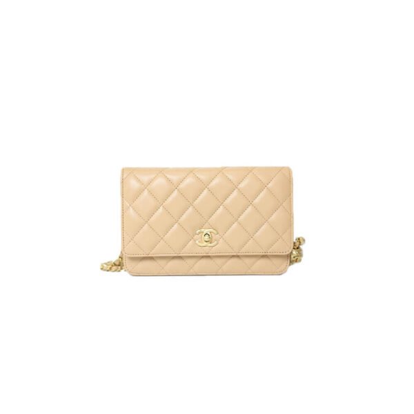 50A779D9-1135-3CBE-40B2-ECF0C7B91F22.jpg Chanel classic chain wallet