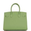 52765B1D-7300-4965-C2B0-40B4DFE2BA0E.jpg Birkin 35 Vert Criquet Epsom with Palladium Hardware