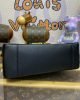 53299357-90BB-41FE-5502-792847615BEA.jpg Louis Vuitton Calfskin Dauphine Soft MM