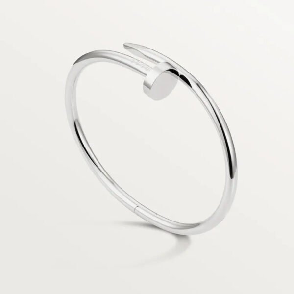 53ADC389-290F-E913-546C-CCBD60812321.jpg JUSTE UN CLOU BRACELET