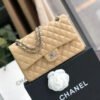 53E6A120-9D44-06D6-BCFE-D2DFF9D1B934.jpg Chanel Classic Handbag Silver Hardware BeigeFor Women, Women’s Bags, Shoulder And Crossbody Bags 10.2in/26cm A01112