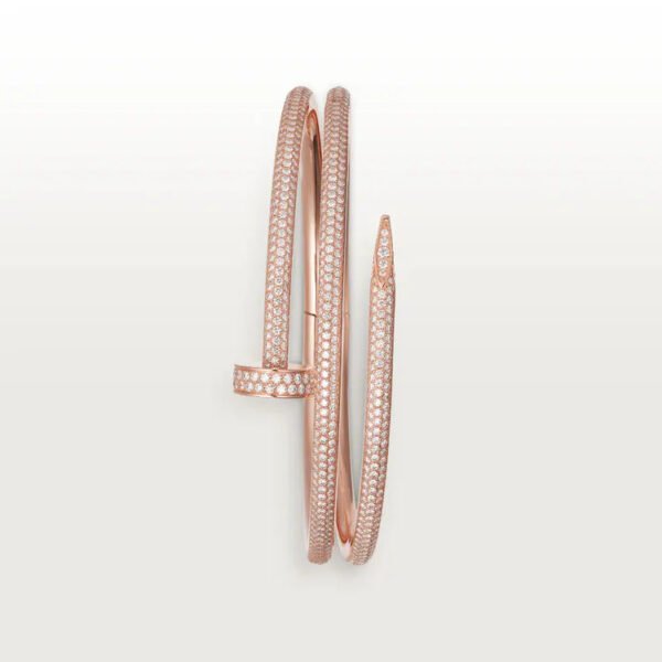 54F88C04-BCFE-09C6-2EE3-A0CEAF588CC2_53460375-f588-482e-a97f-18eb5820f5d7.jpg JUSTE UN CLOU BRACELET