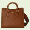 5D2D0D6B-DA03-3759-7E66-23FB302B35C4_bbc37d62-6d20-408b-a9ff-7f7ec9405218.jpg DIANA SMALL TOTE BAG