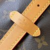 Louis Vuitton M46197 CarryAll MM