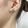 Amazonite Mandarin Duck Earrings