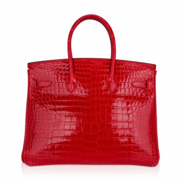 641D1579-A15C-5960-7545-E6E61CCA247B.jpg Birkin 35 Bag Braise Porosus Crocodile with Gold Hardware