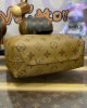 642CF28A-3517-448B-F53D-B9B7589400E6.jpg Louis Vuitton M46816 Atlantis BB