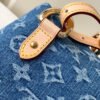 Louis Vuitton Venice Backpack M46836