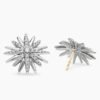 661B8D80-782B-5B00-3091-2A4977A5AA5C.jpg Starburst Stud Earrings Sterling Silver with Diamonds, 19mm