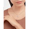 67651676-8BF5-A406-640E-0B3F3E9368D7.png NECKLACE
