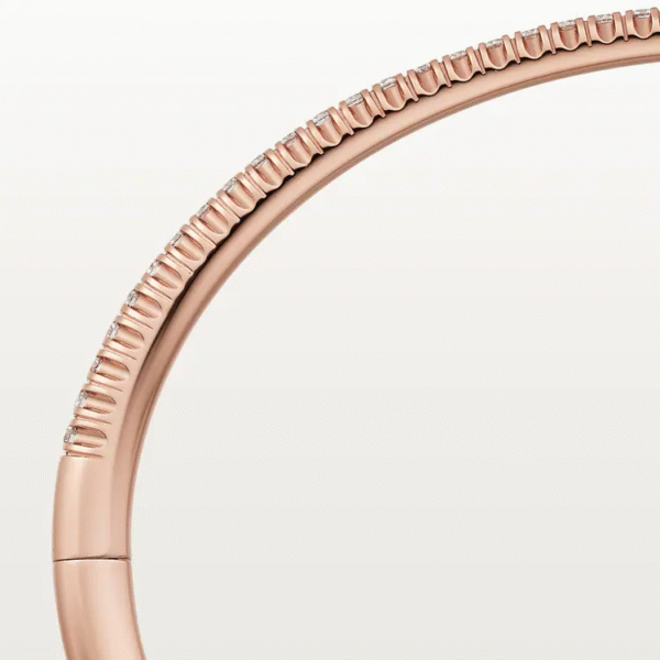 6910DE32-E4BA-9BF1-884B-3A0616AE2CED.png ETINCELLE DE BRACELET