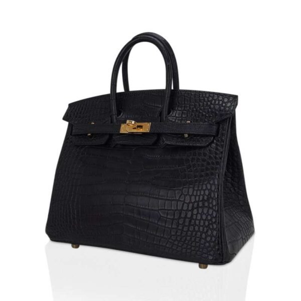 Birkin 25 Bag Black Matte Alligator with Gold Hardware