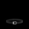 6C8433E3-CF1F-95A7-819E-F660C8A62FD7.jpg Venice 35mm Belt
