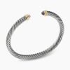 6D584D58-8C00-967B-4256-15472E392617.jpg Classic Cable Bracelet Sterling Silver with 14K Yellow Gold and Amethyst, 5mm