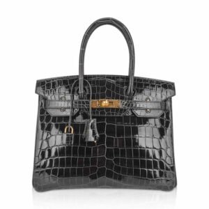 6E3E1222-ABF0-0C97-18BF-2448A3A3D91B.jpg Birkin 30 Bag Graphite Niloticus Crocodile with Gold Hardware