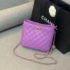 Chanel Hobo Handbag Purple Bag For Women 16cm/6in