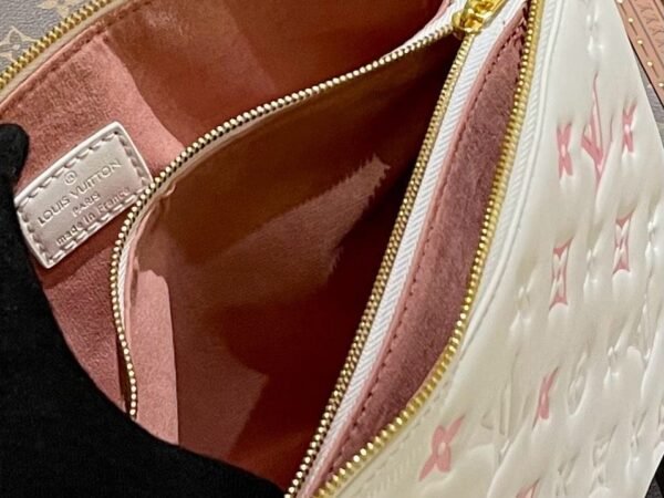 7C34DB93-EB97-DC27-49E5-3414E04B0C67.jpg Louis Vuitton M22398 Coussin PM