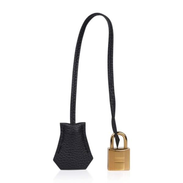 Birkin 25 Bag Plomb (Off Black) Togo Leather with Gold Hardware