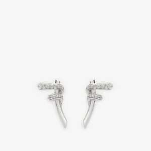 805B0A62-EF98-BDA6-684D-AB76344D252D.jpg Fendi Filo earrings