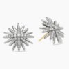 831391B2-BA0D-1EFA-87BE-B1B69B9A54AF.jpg Starburst Stud Earrings Sterling Silver with Diamonds, 19mm