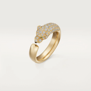 836D281E-6132-D893-3A65-8E830B072CE7.png PANTHERE DE RING