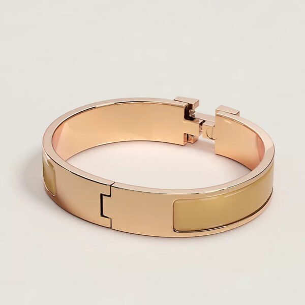 88B7164A-5E64-5435-1E78-DEA1DB332B7D.jpg Hermes Clic H bracelet