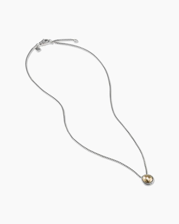 89CCEFB6-BDF8-2E94-AF71-7C618833B353.jpg Petite Chatelaine® Necklace Sterling Silver with 18K Yellow Gold Dome, 10mm