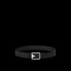 8D3B9F35-C05E-6F19-A82B-0FE81A47D3B1.jpg Venice 35mm Belt
