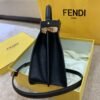 8D40FF16-CEF6-9530-704F-1CE329C54C12.jpg Fendi Peekaboo Small iseeu Bag
