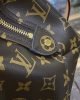 Louis Vuitton Petit Palais M45900
