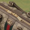 8E3A1EEB-CE73-F81C-6223-C522D42D8791.jpg Gucci Ophidia GG Mini