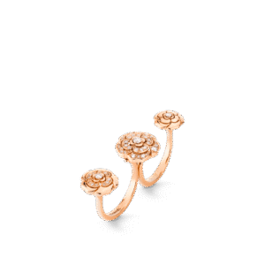 EXTRAIT DE CAM??LIA TRANSFORMABLE RING