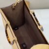 Fendi Sunshine Shopper Meduim Bag