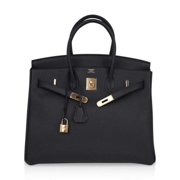 Birkin 25 Bag Plomb (Off Black) Togo Leather with Gold Hardware