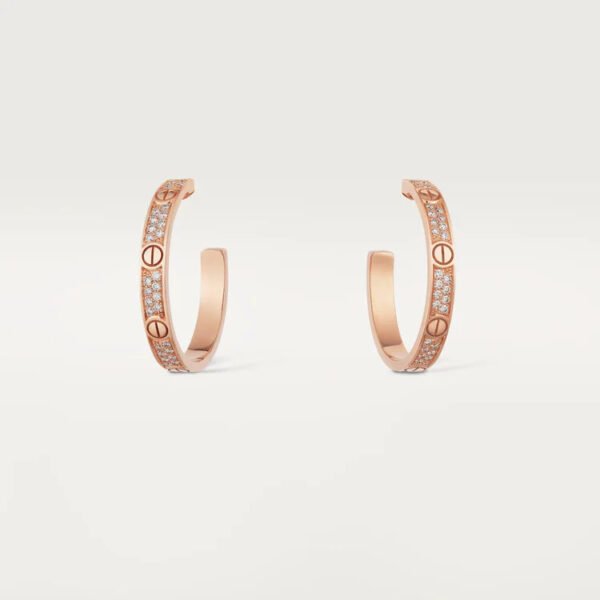 92993CAD-1E5D-B5FC-6D85-D5A778378B97.jpg LOVE EARRINGS