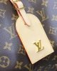 Louis Vuitton M46817 Atlantis GM