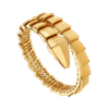 96DAE1A5-5FDF-DA4E-D6F5-ABBBC8E650B6.png Serpenti Bracelet